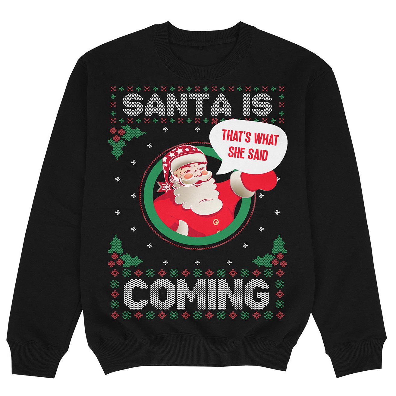 THAT'S WHAT SHE SAID - Premium Sweater